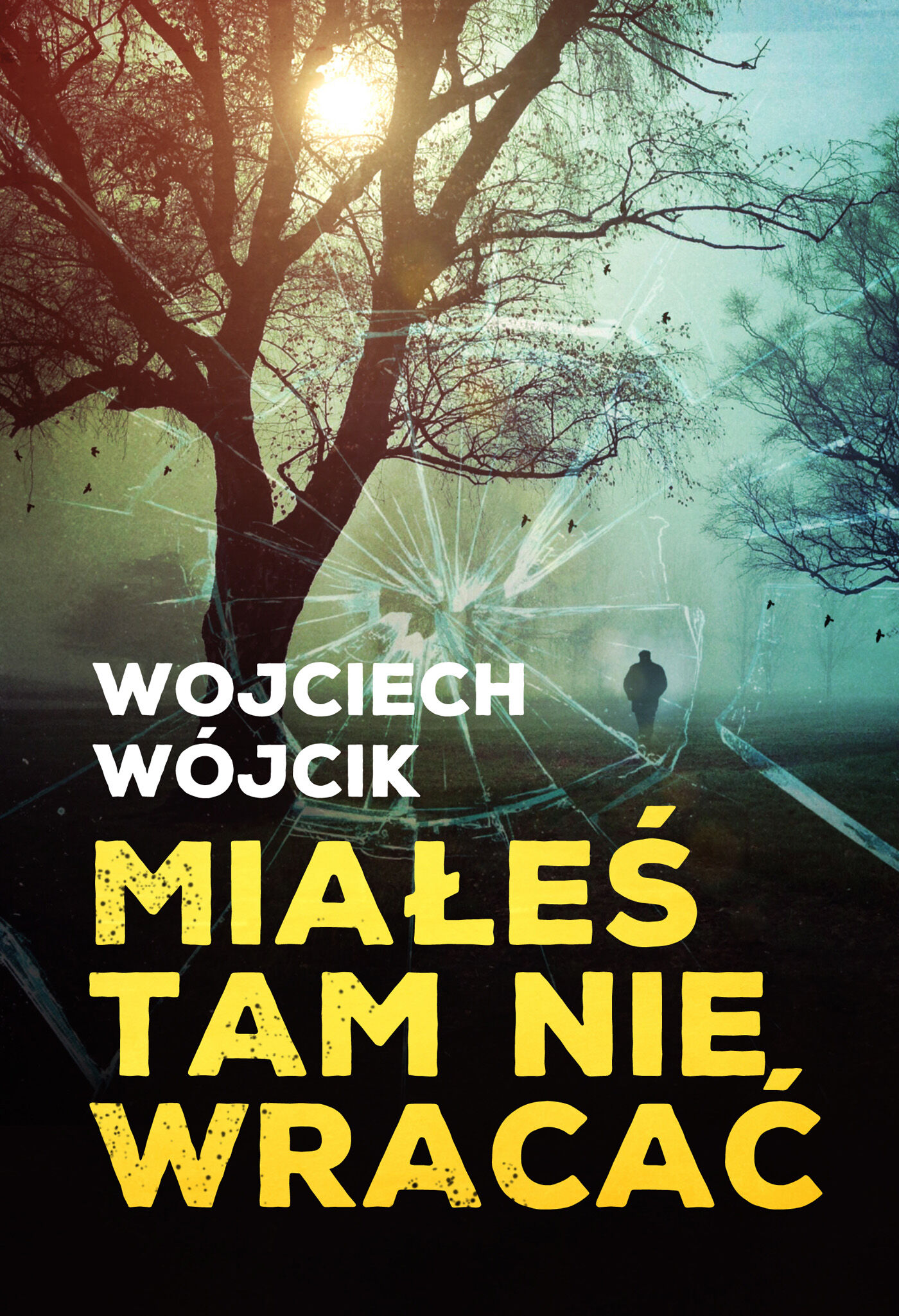 Miałeś tam nie wracać (e-book)