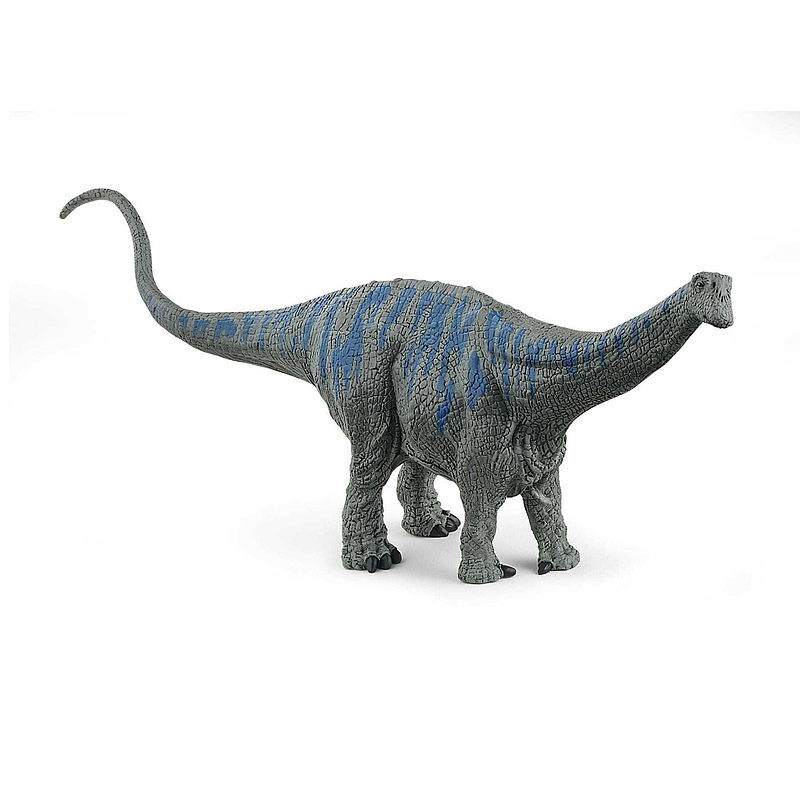 Brontosaurus slh15027