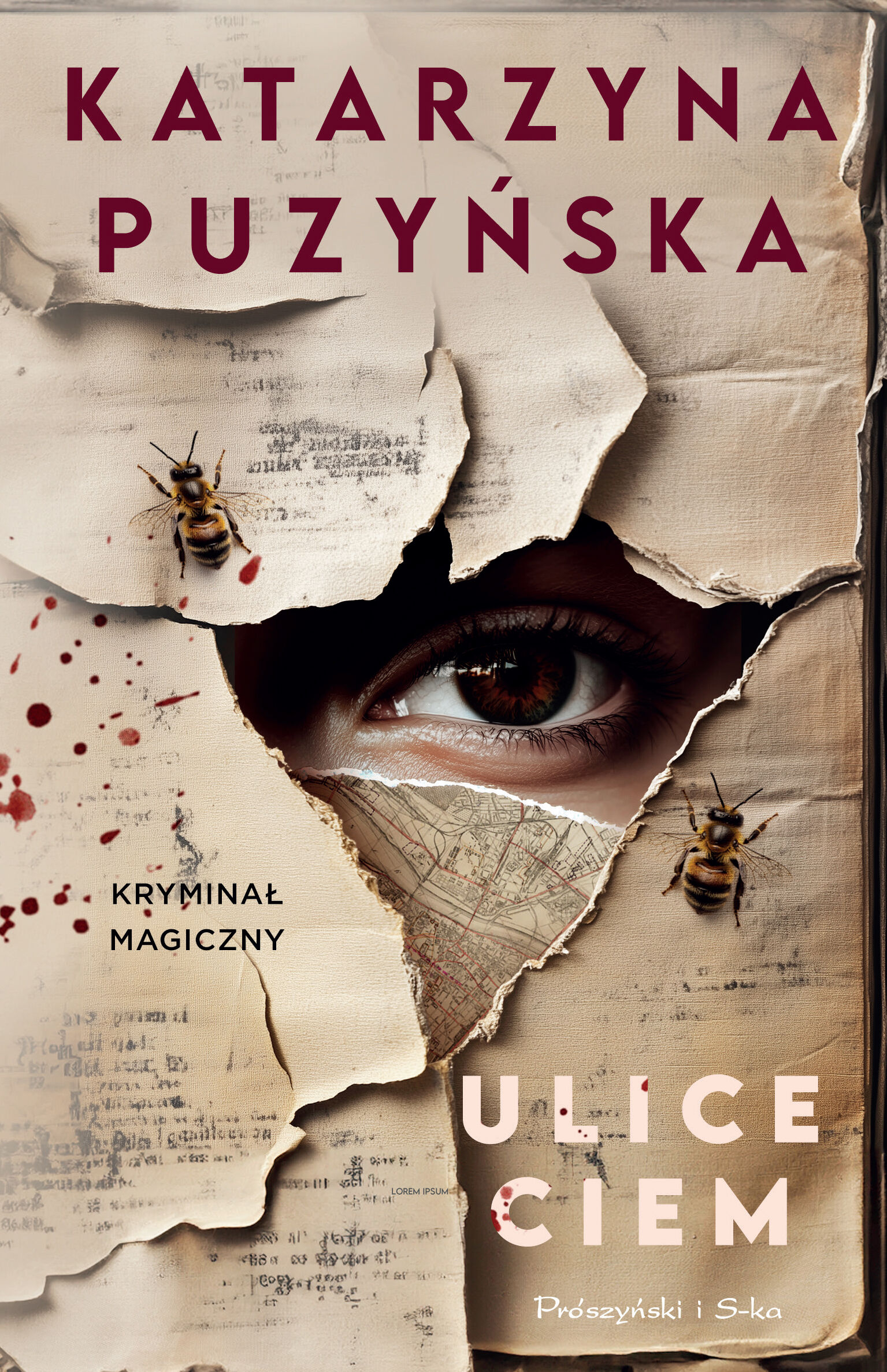Ulice ciem (e-book)