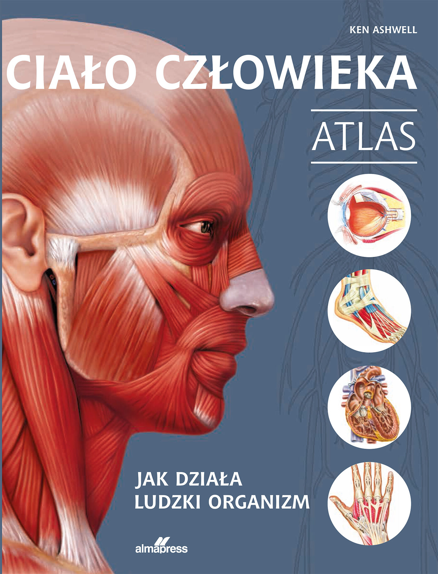 Ciało człowieka. Atlas