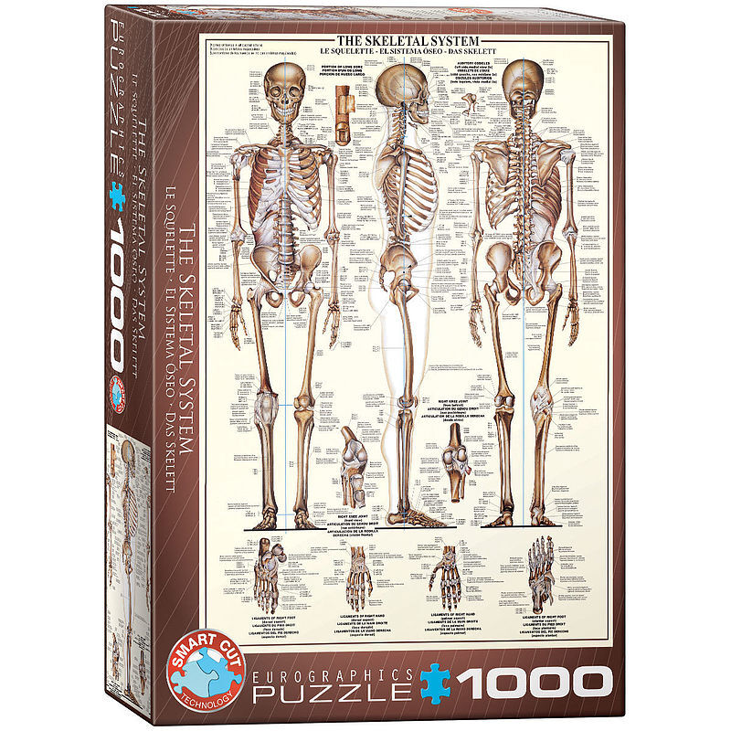 Puzzle 1000 układ szkieletowy 6000-3970