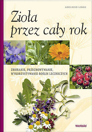 Zioła przez cały rok