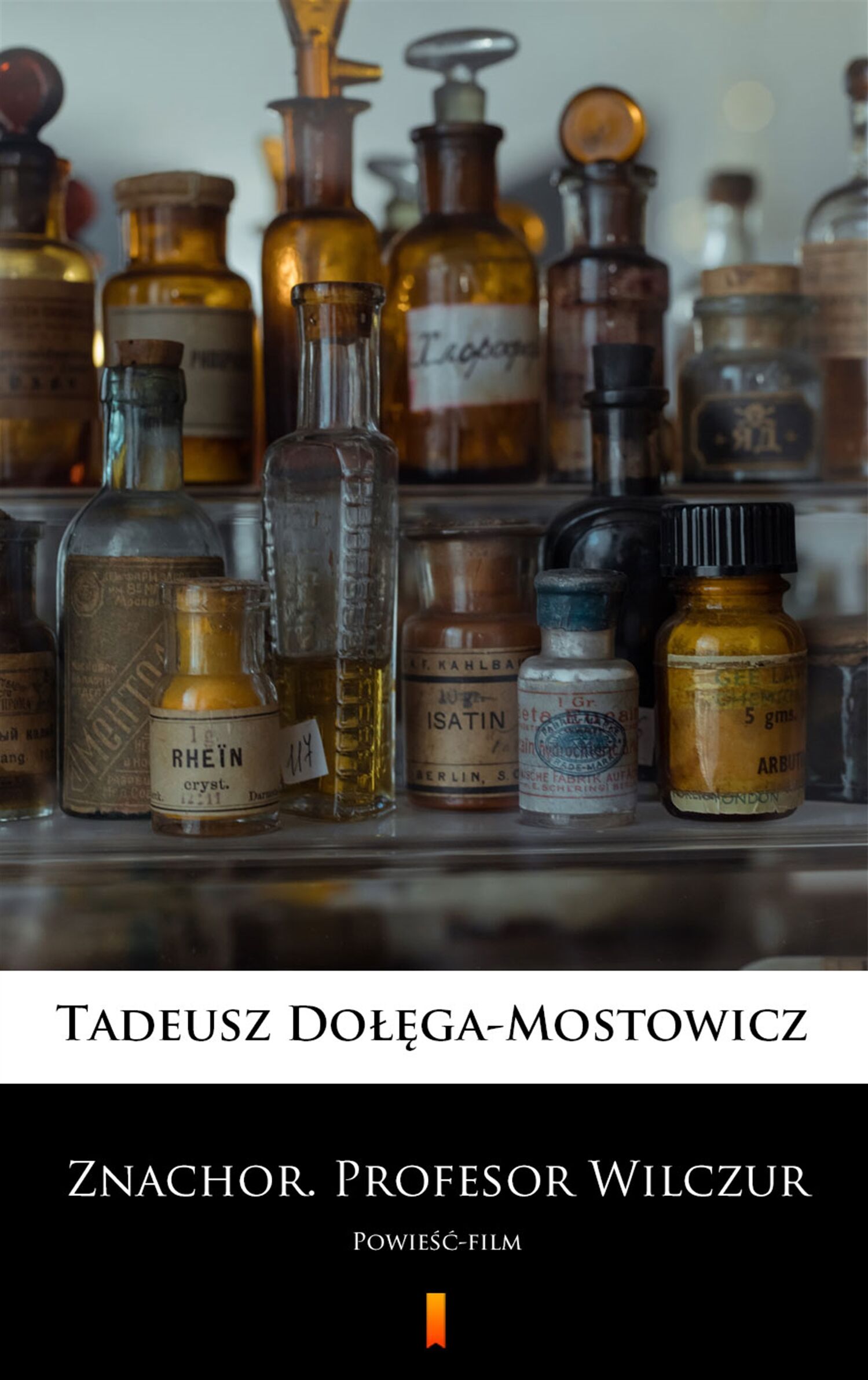 Znachor. Profesor Wilczur (e-book)