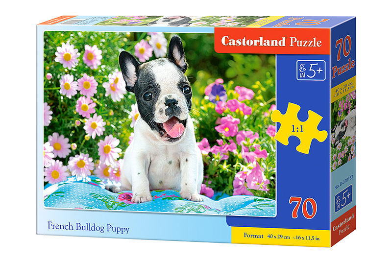 Puzzle 70 szczenię buldoga francuskiego b-070152