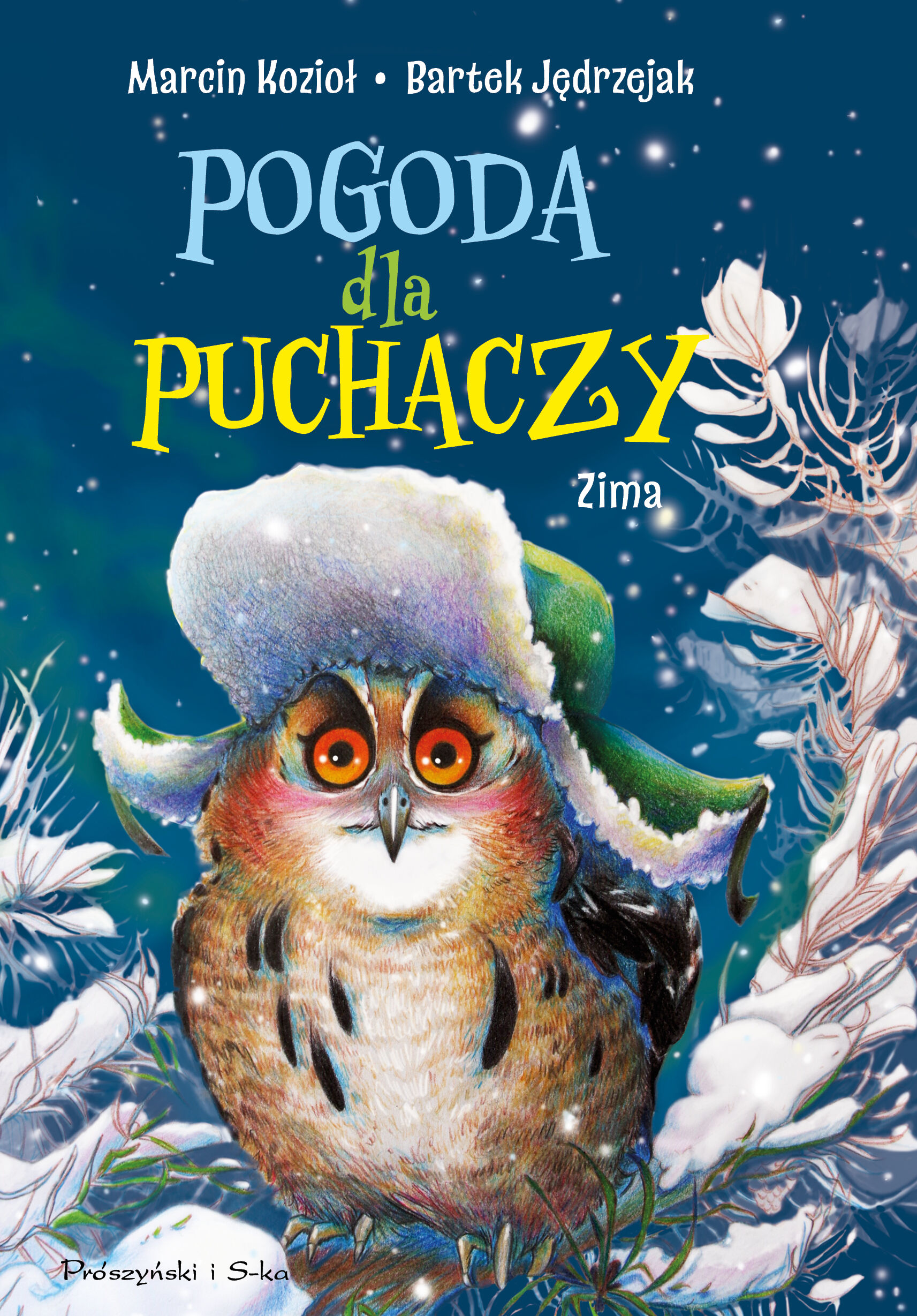 Pogoda dla puchaczy.Zima