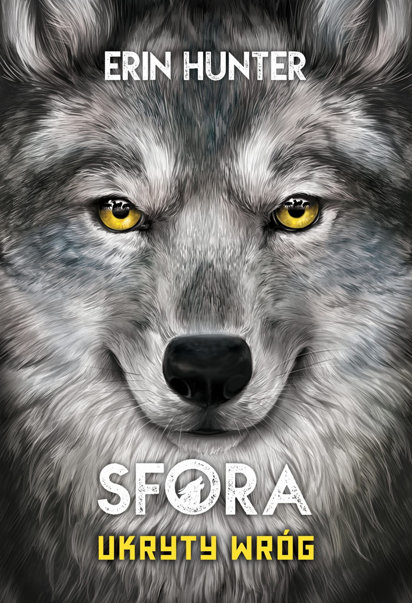 Ukryty wróg (e-book)