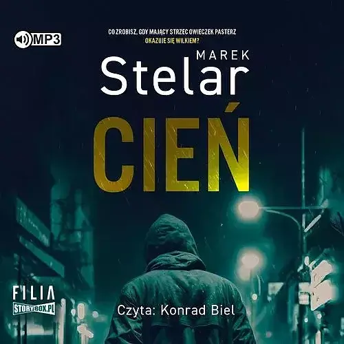 Cień (audiobook CD)