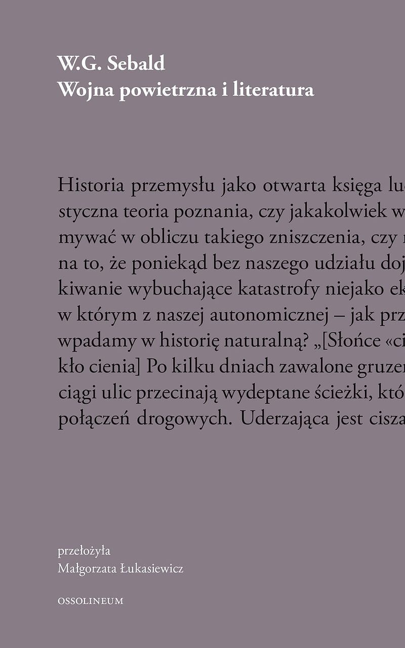 Wojna powietrzna i literatura