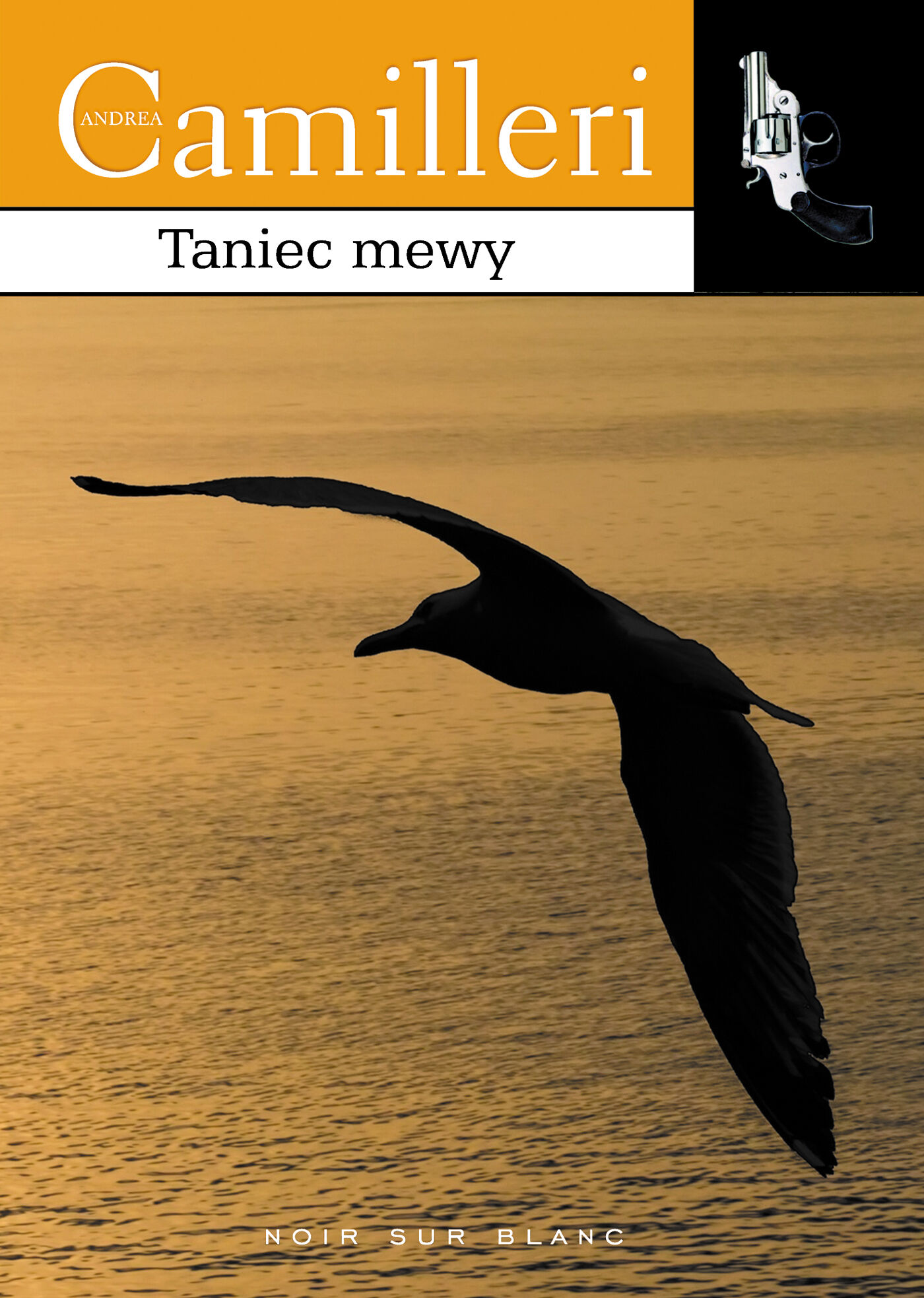 Taniec mewy (e-book)