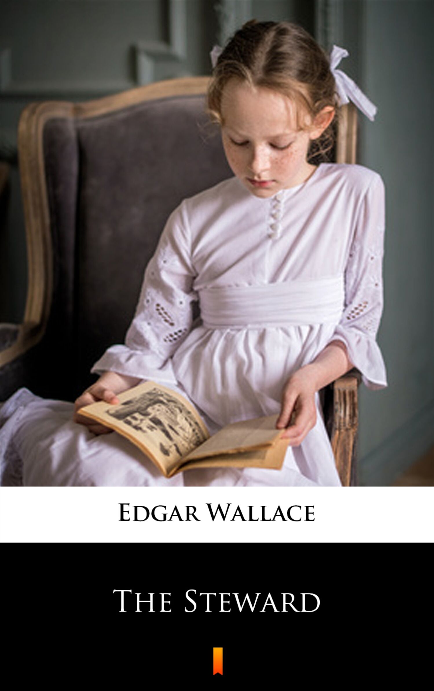 The Steward (e-book)