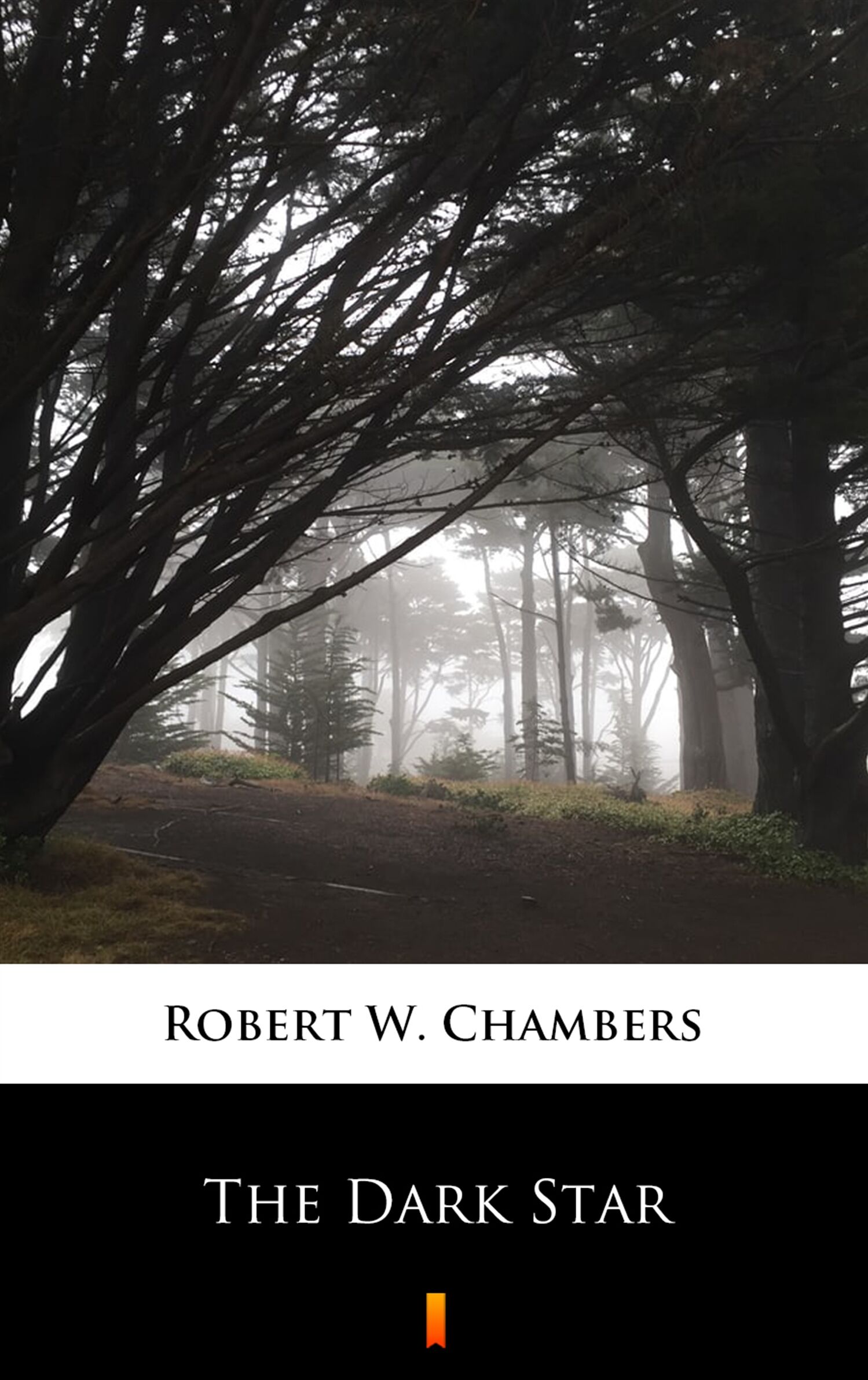 The Dark Star (e-book)
