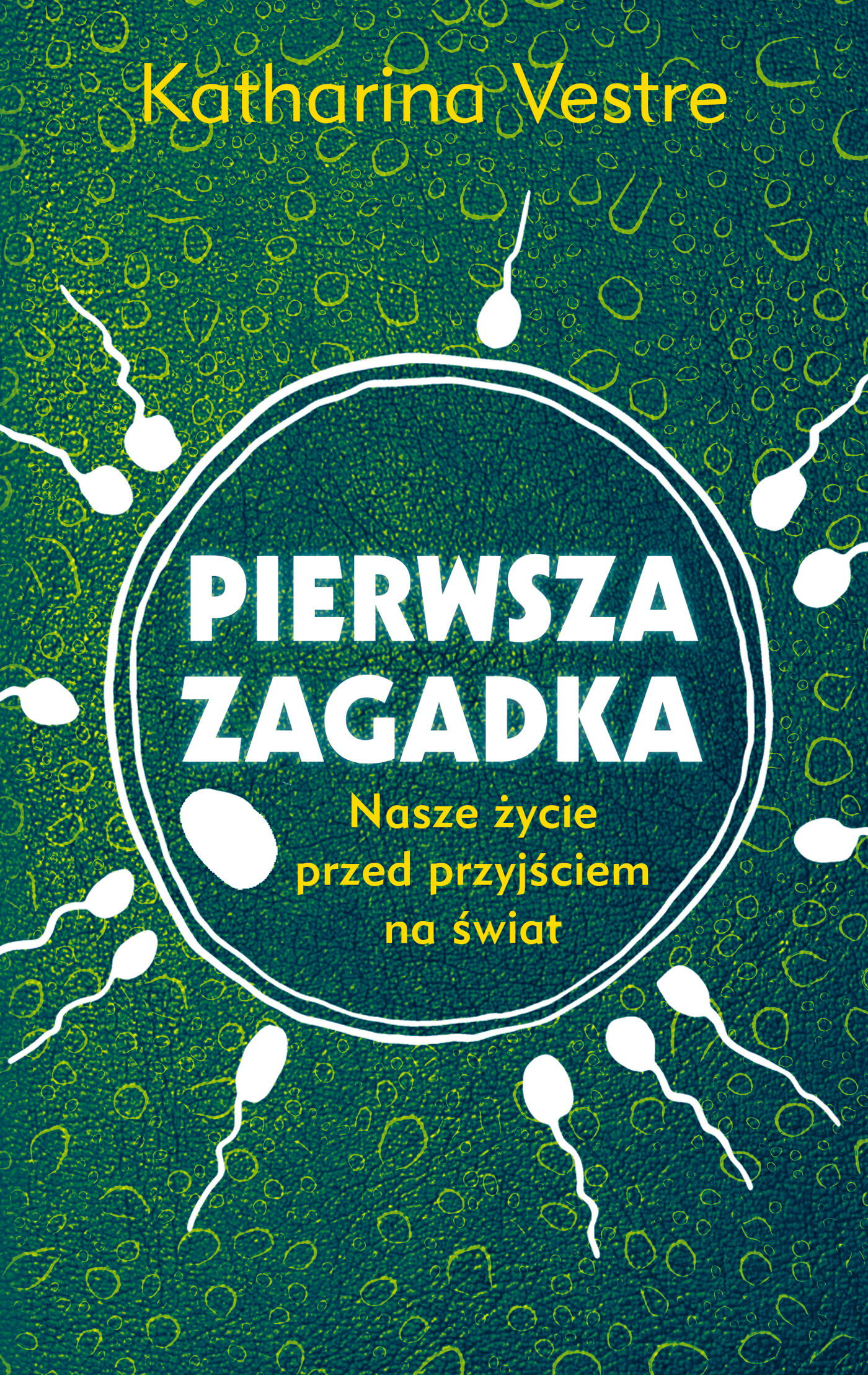Pierwsza zagadka. Nasze życie przed przyjściem na świat (e-book)