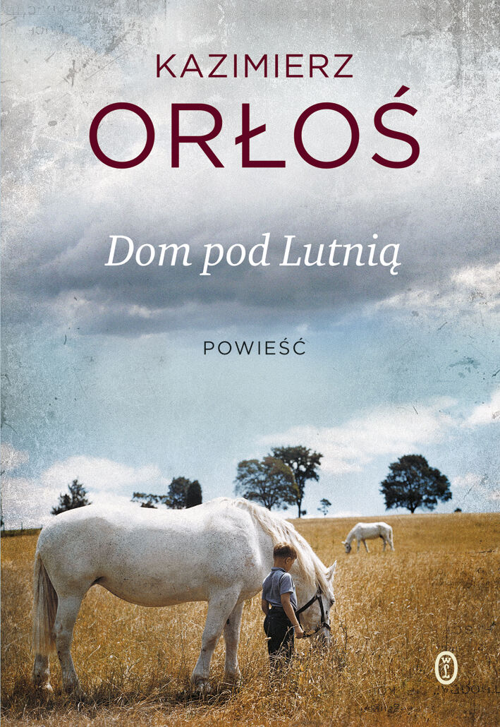 Dom pod Lutnią (e-book)