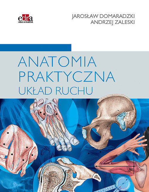 Anatomia praktyczna Układ ruchu