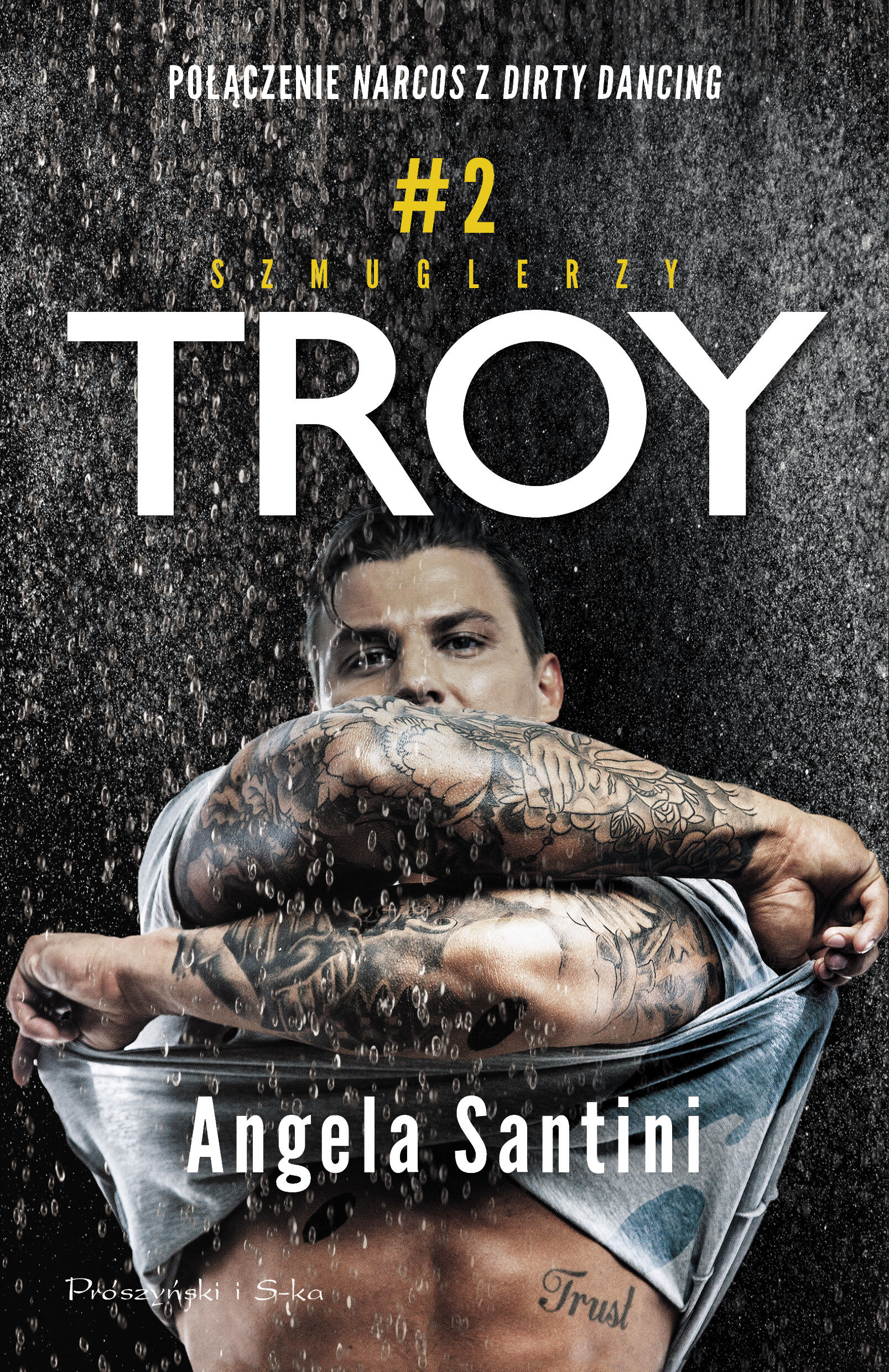 Troy (e-book)