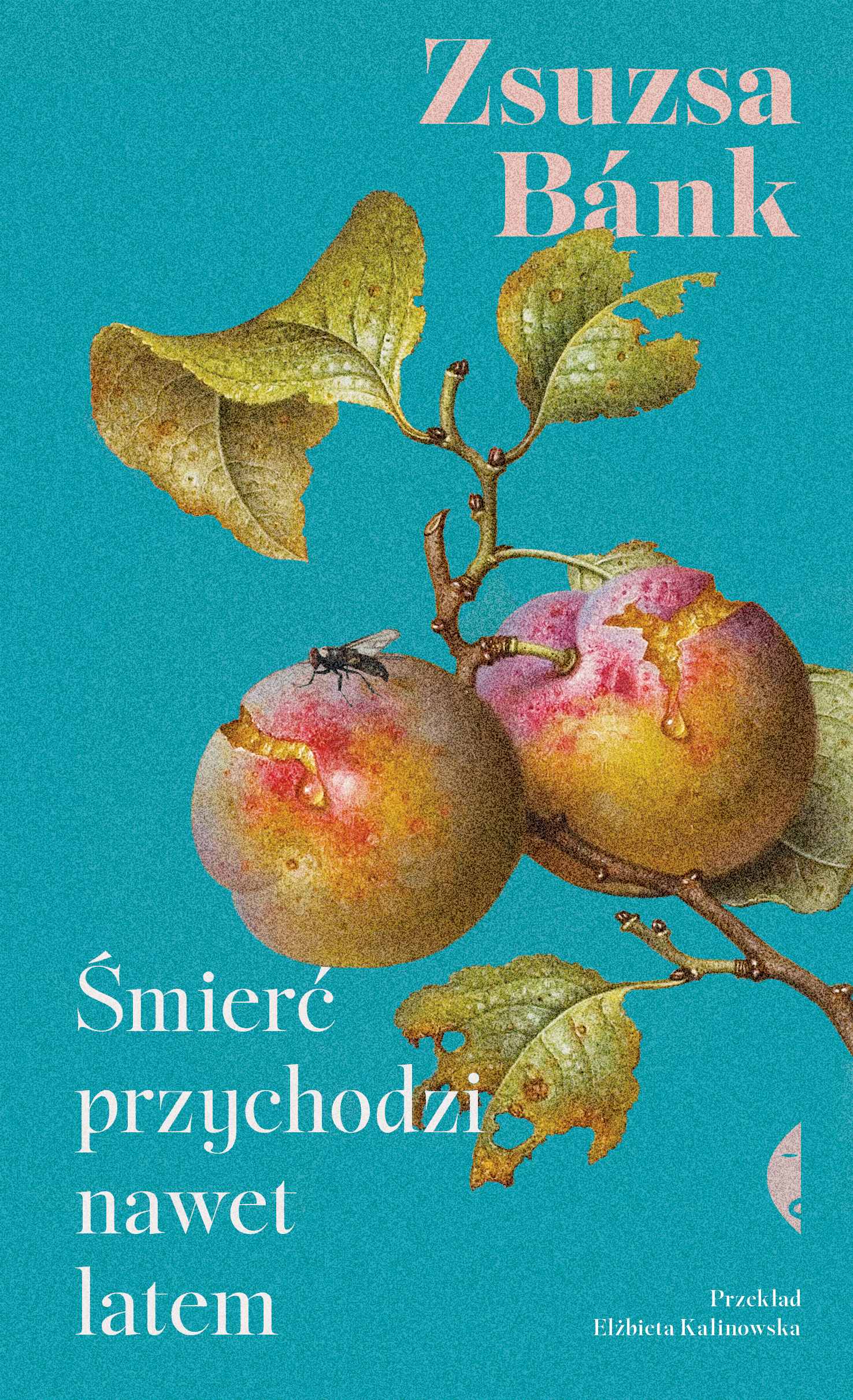 Śmierć przychodzi nawet latem (e-book)