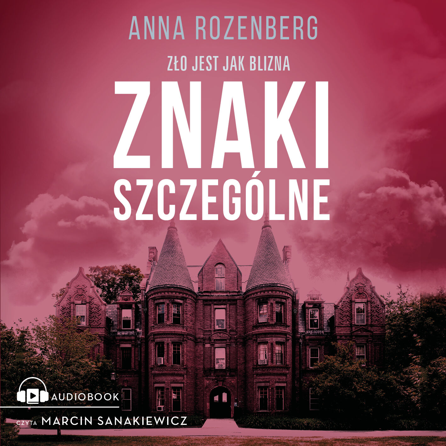 Znaki szczególne (audiobook MP3)