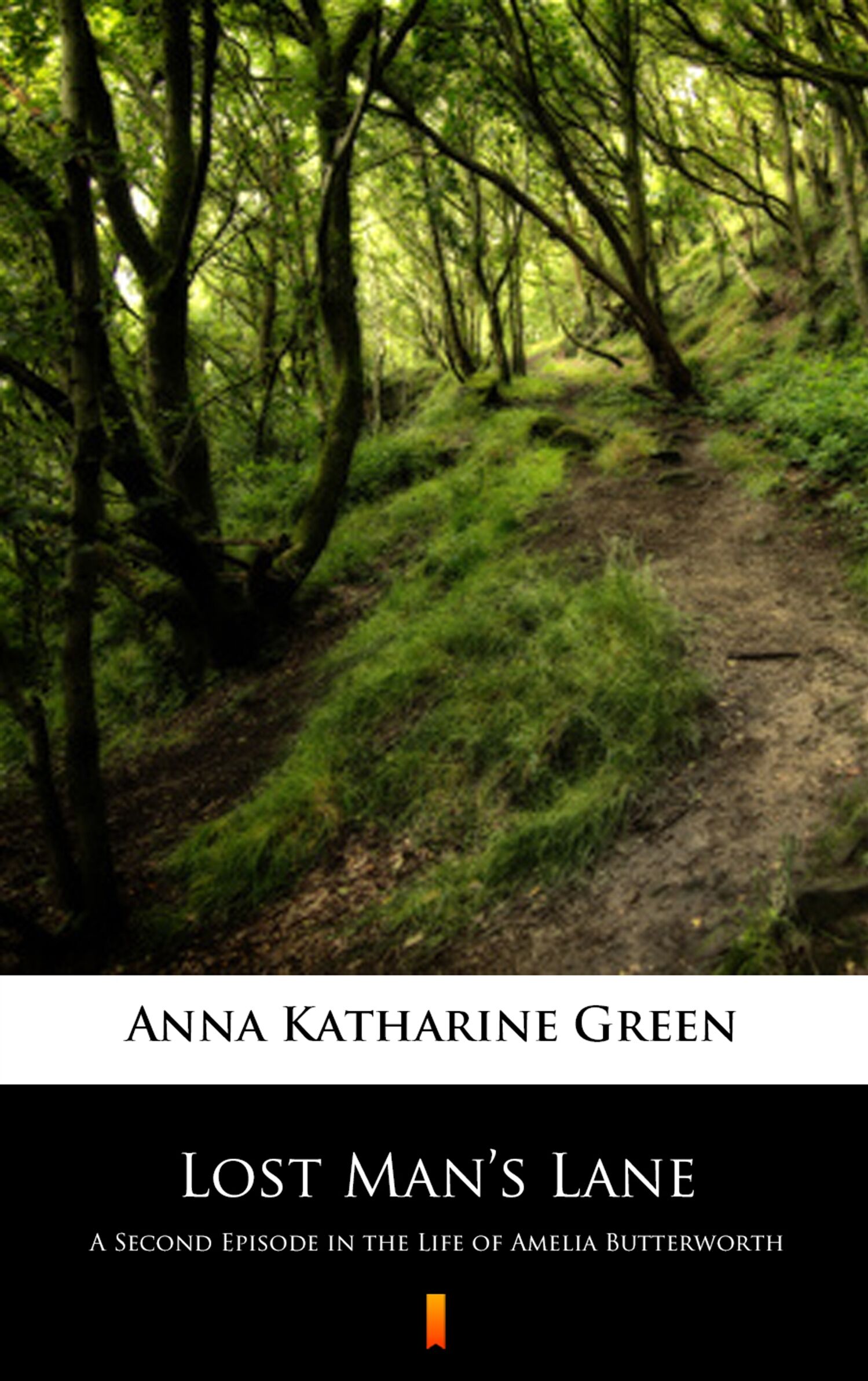 Lost Man’s Lane (e-book)