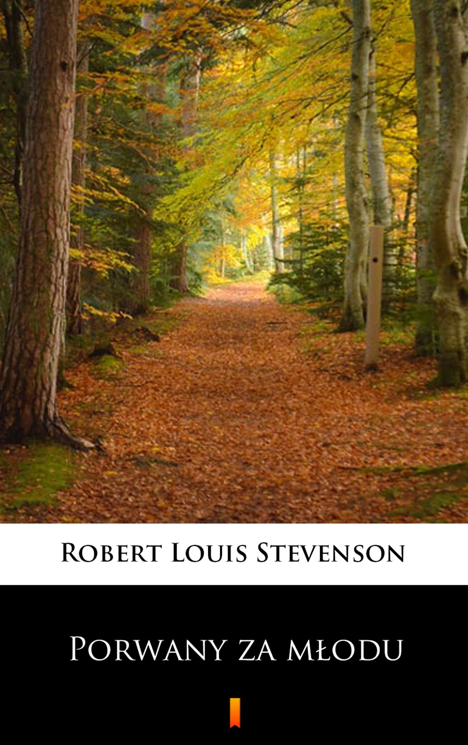 Porwany za młodu (e-book)