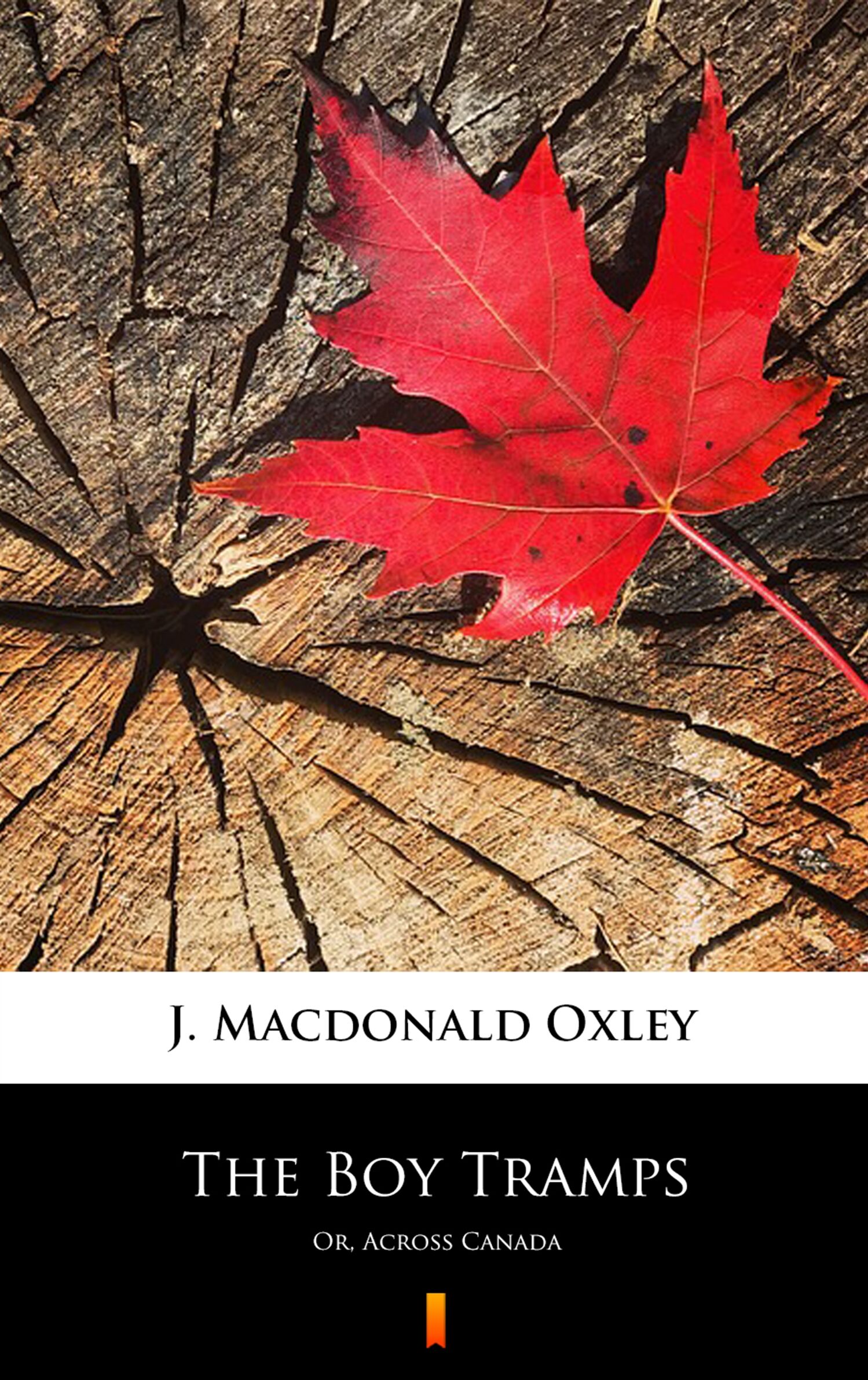 The Boy Tramps (e-book)