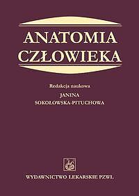 Anatomia człowieka