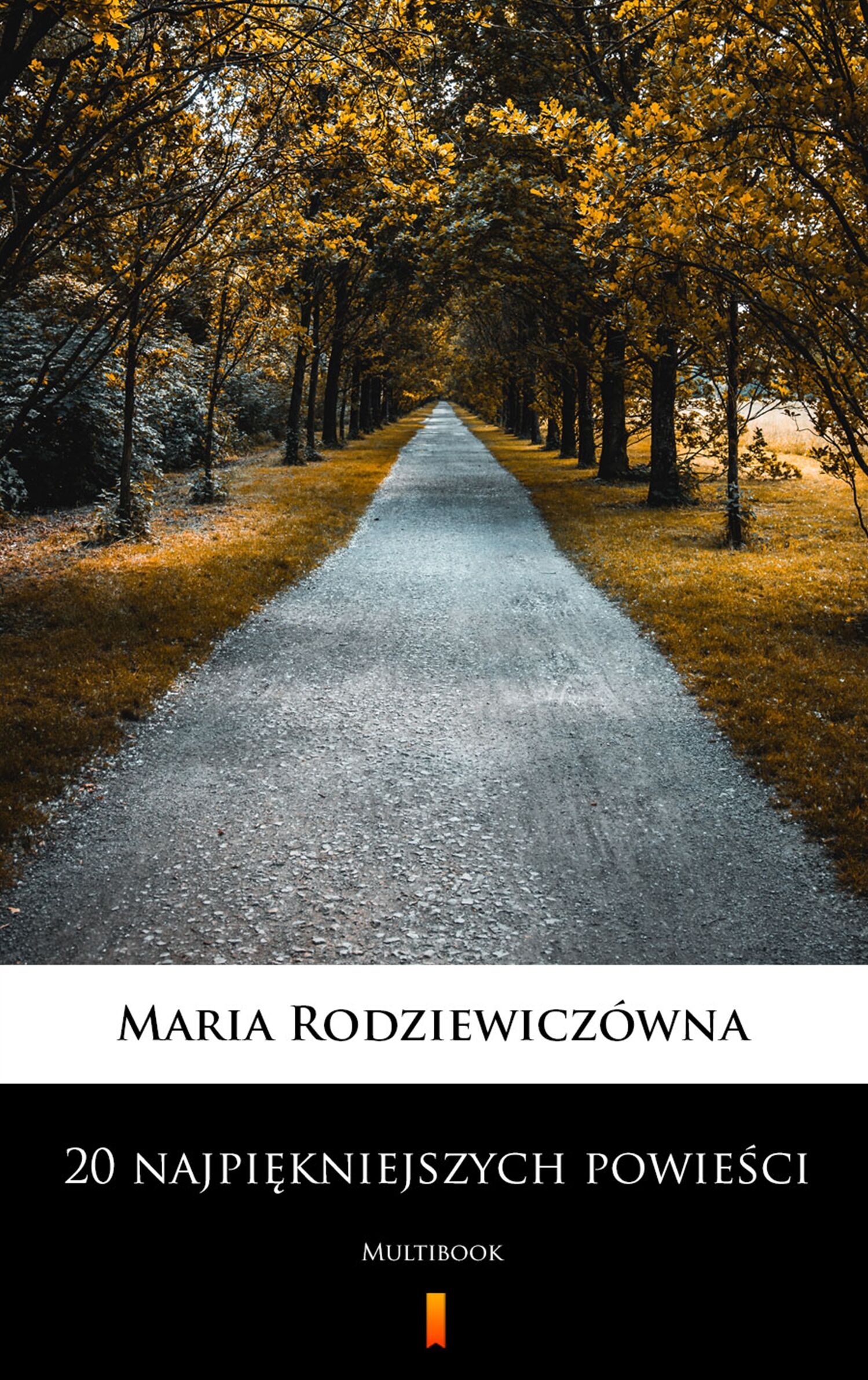 20 najpiękniejszych powieści (e-book)