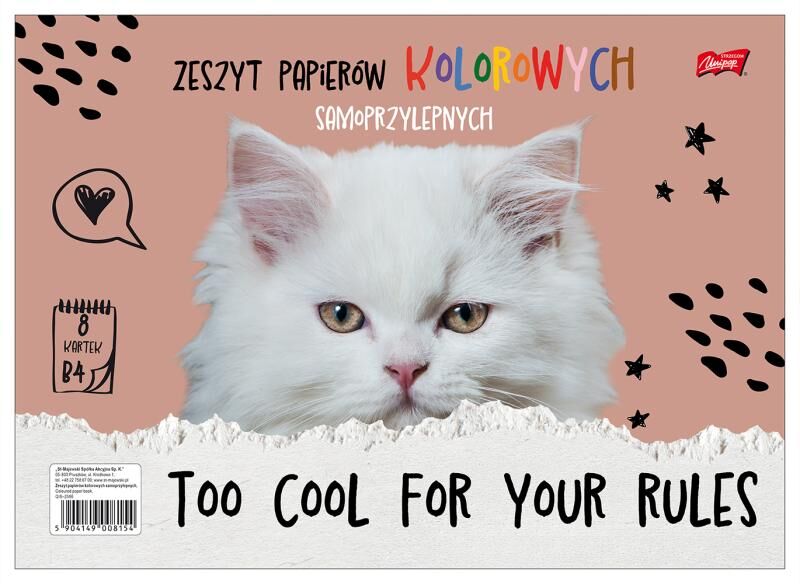 Paczka Zeszyt papierów kolorowych samoprzylepnych B4 okładka kredowana 25 sztuk