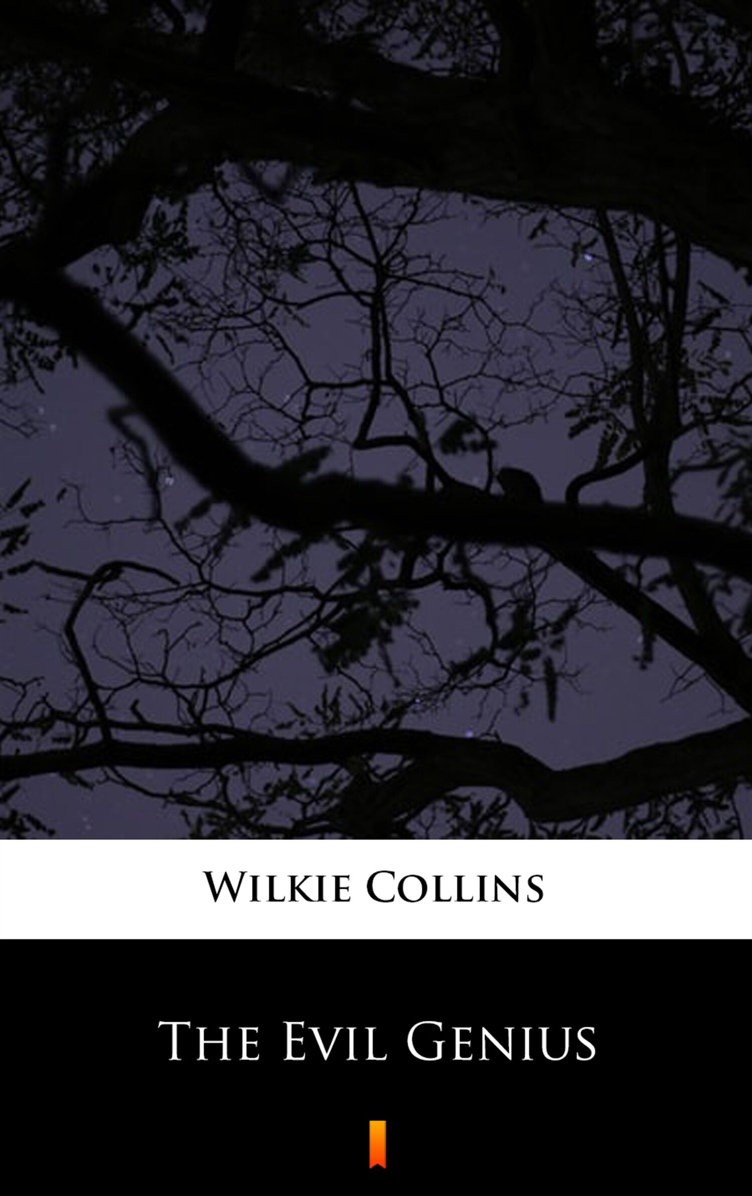 The Evil Genius (e-book)