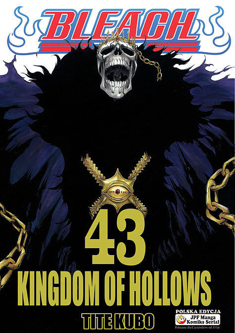 Bleach - 43