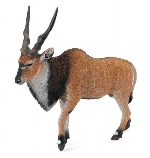 Antylopa wielka Eland XL