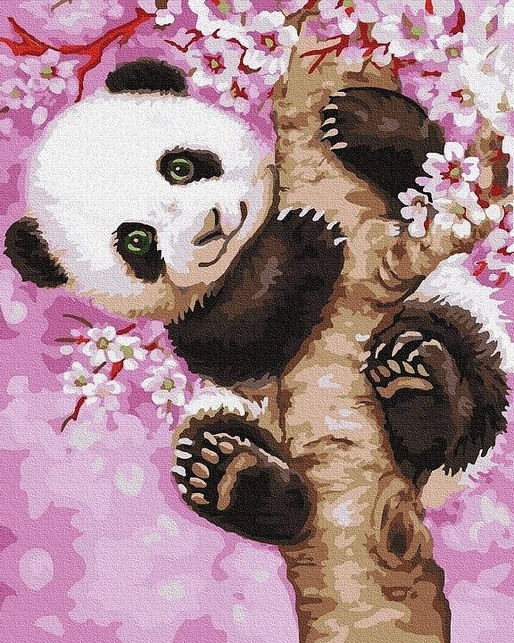 Malowanie po numerach śliczna panda