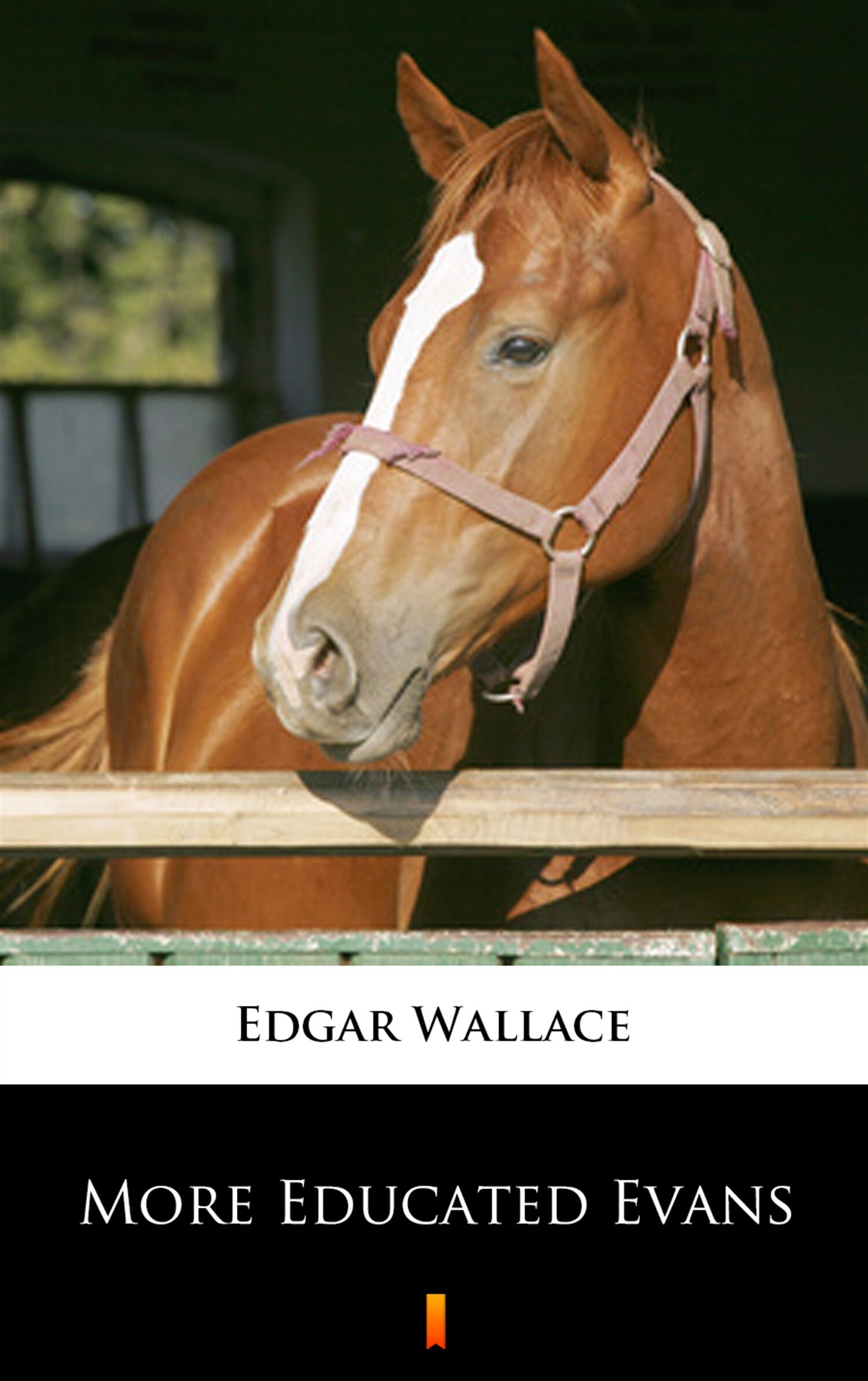 More Educated Evans (e-book)