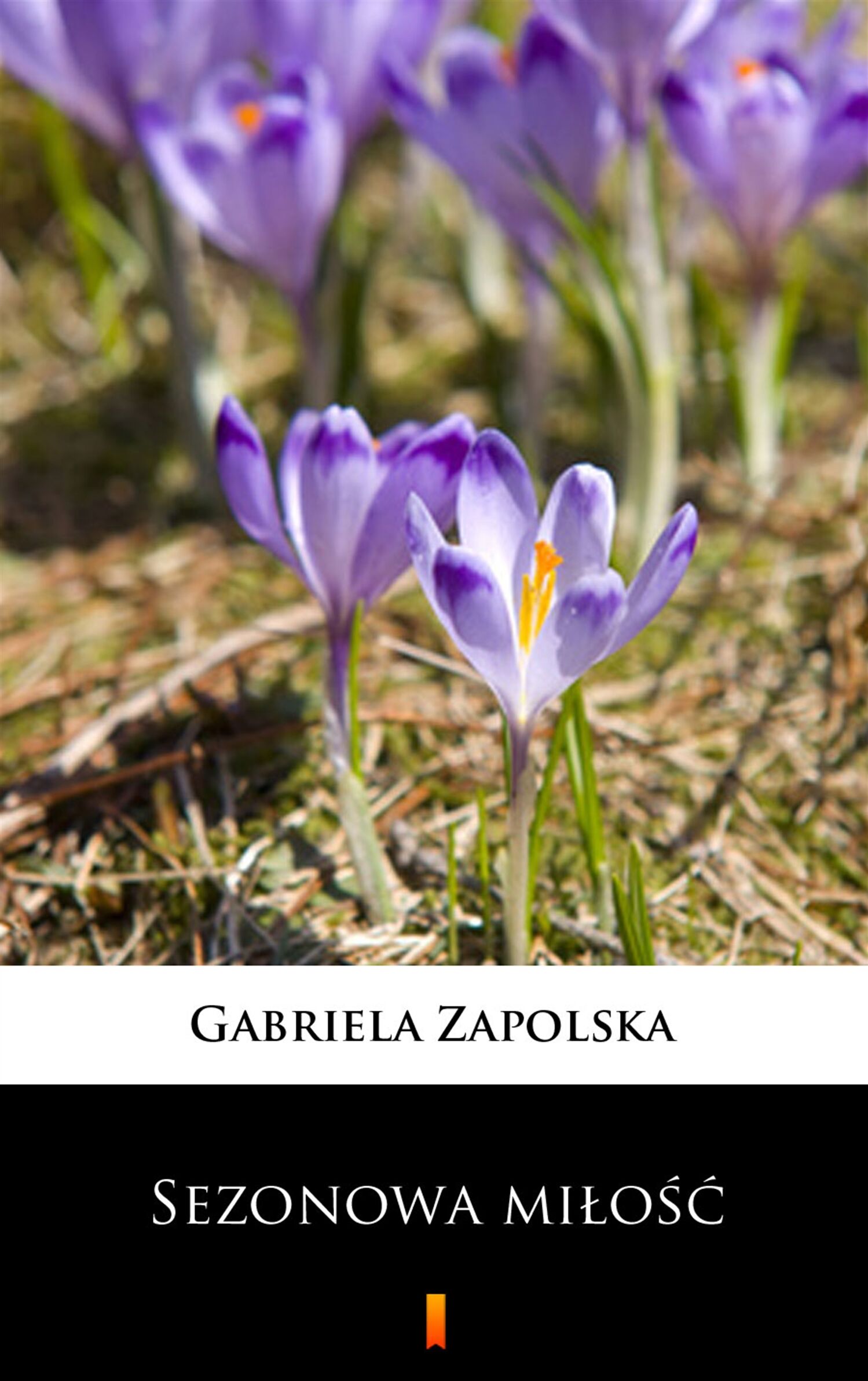 Sezonowa miłość (e-book)