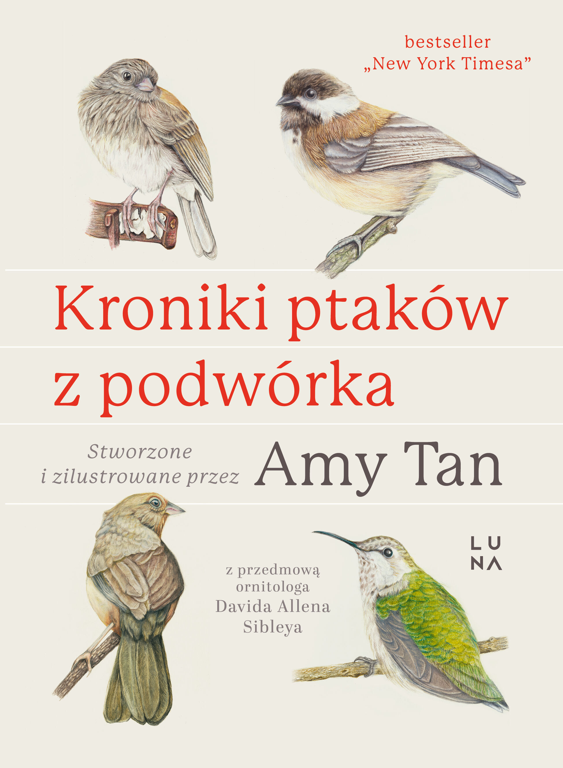 Kroniki ptaków z podwórka
