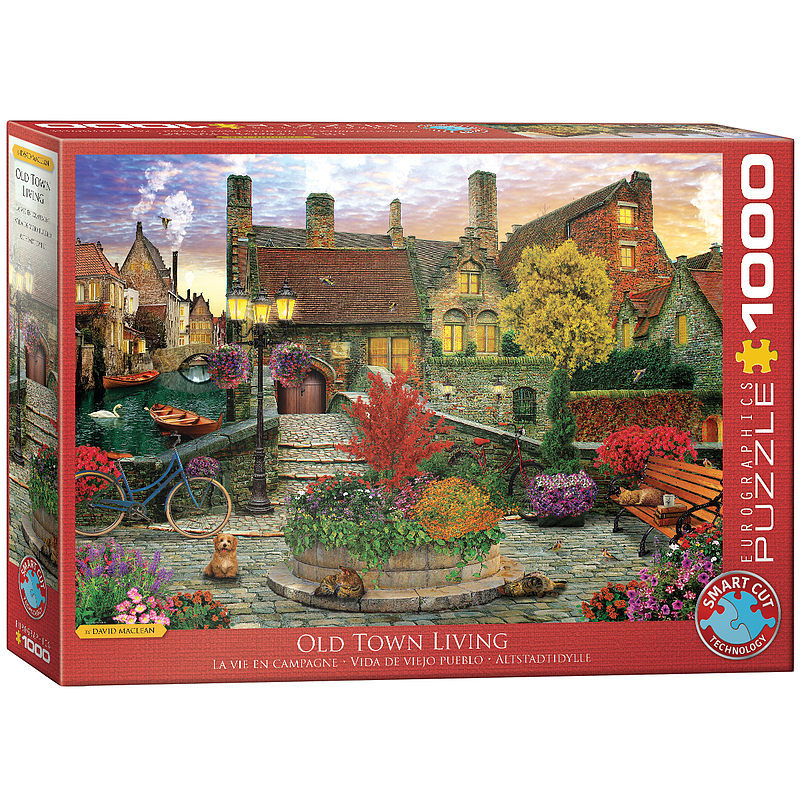 Puzzle 1000 stare miasto 6000-5531