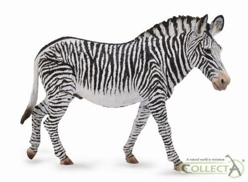 Zebra Grevys XL