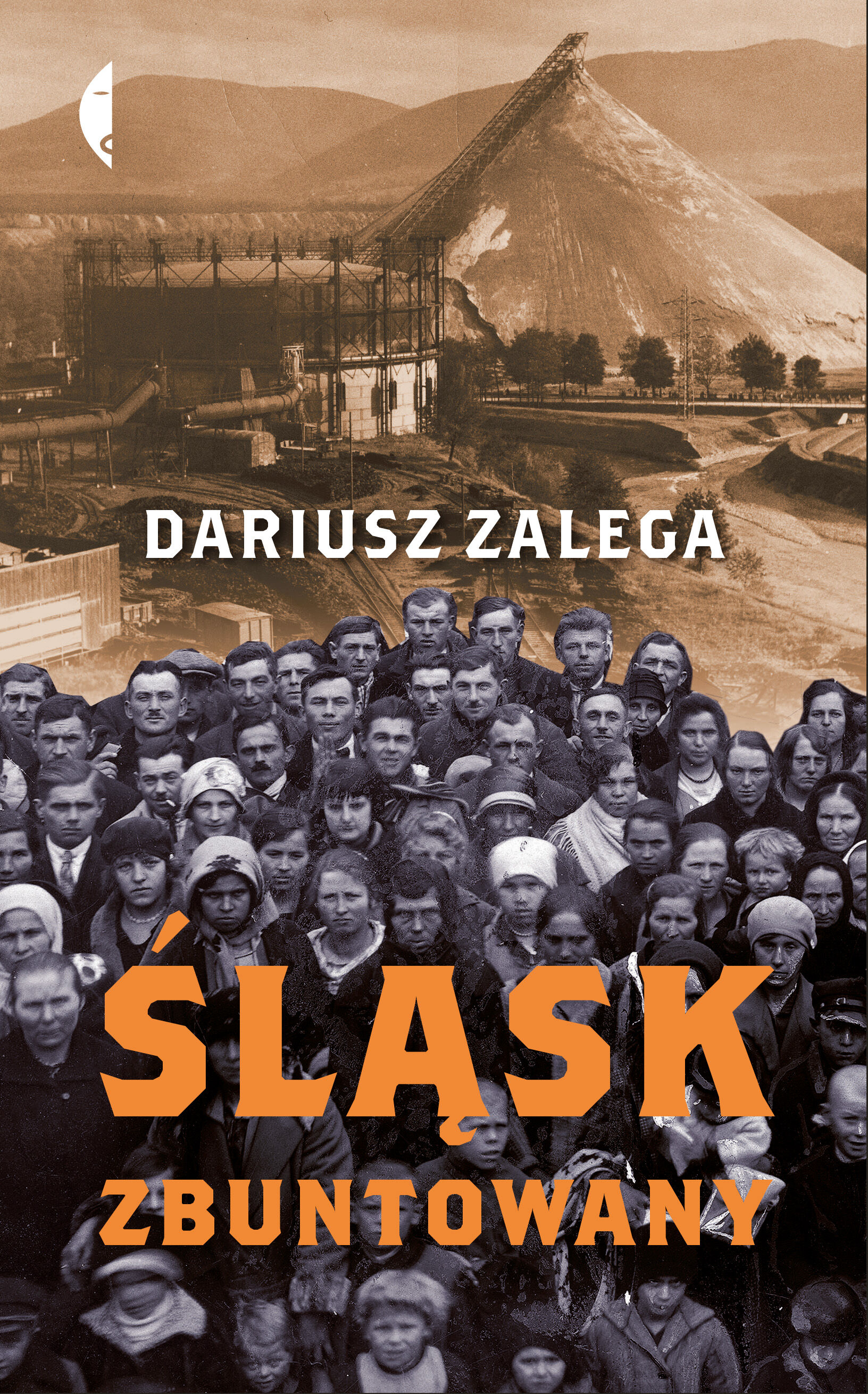 Śląsk zbuntowany (e-book)