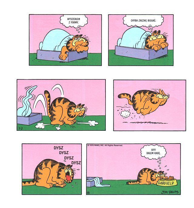 Garfield: Skarbiec - 1