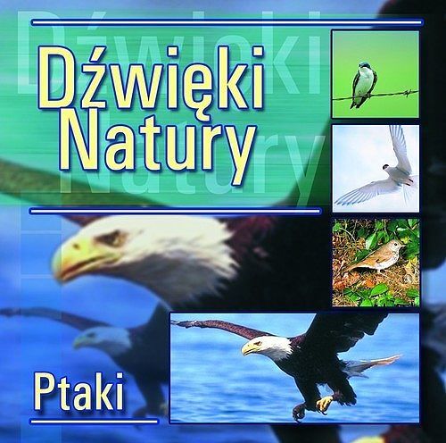 Dźwięki Natury - Ptaki