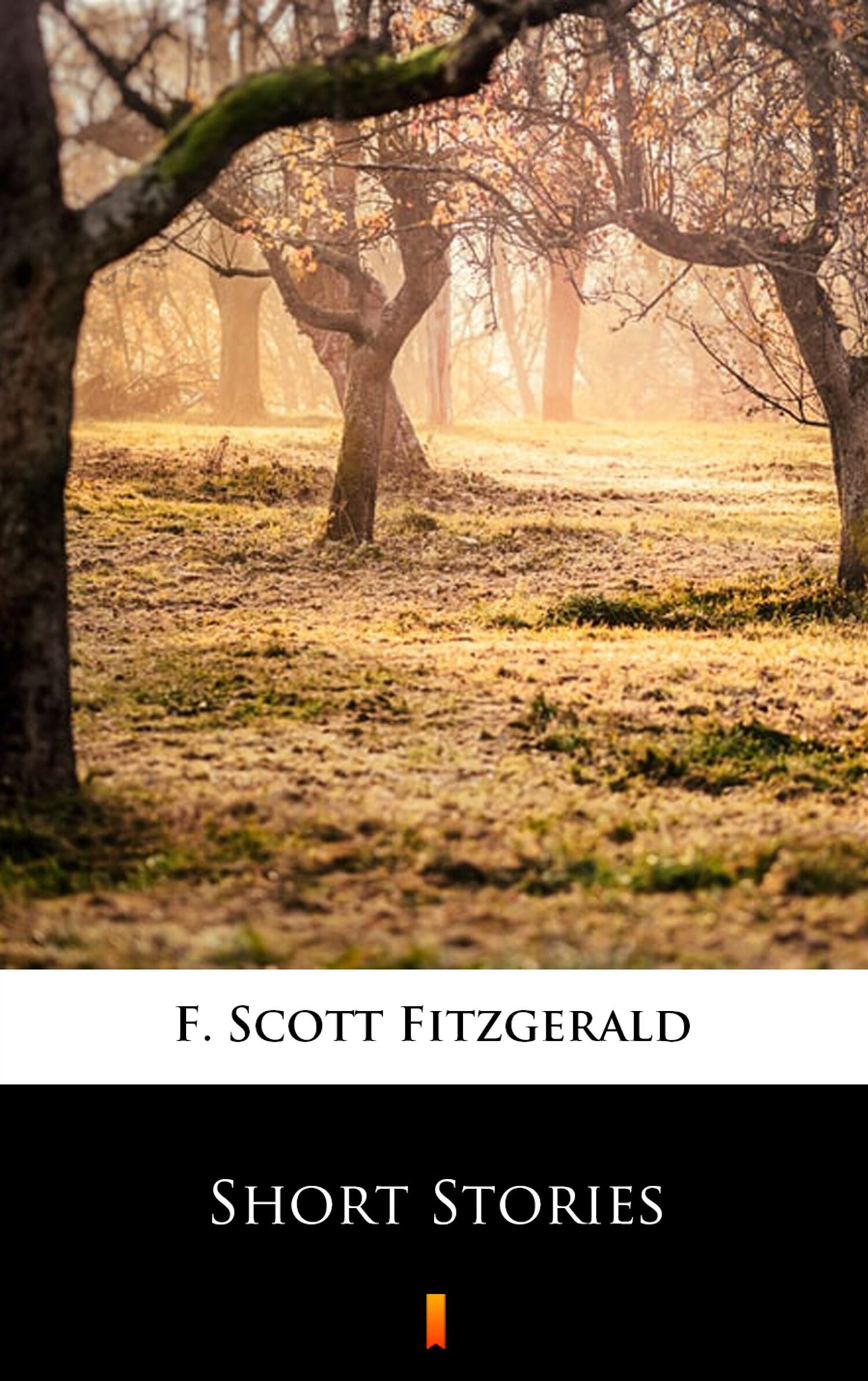 Short Stories (e-book)