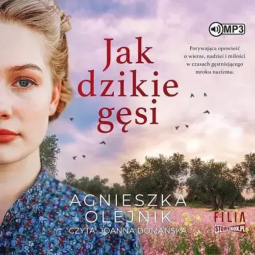 Jak dzikie gęsi (audiobook CD)