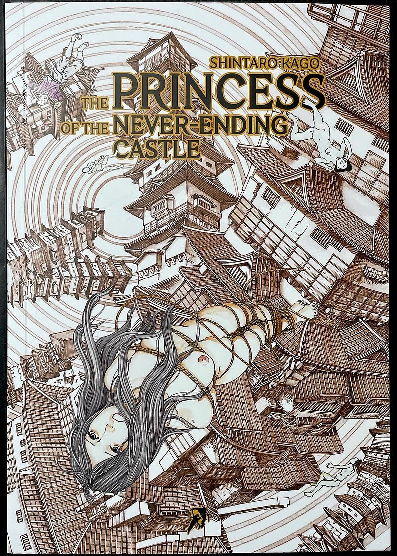 The Princess of the Never-ending Castle
