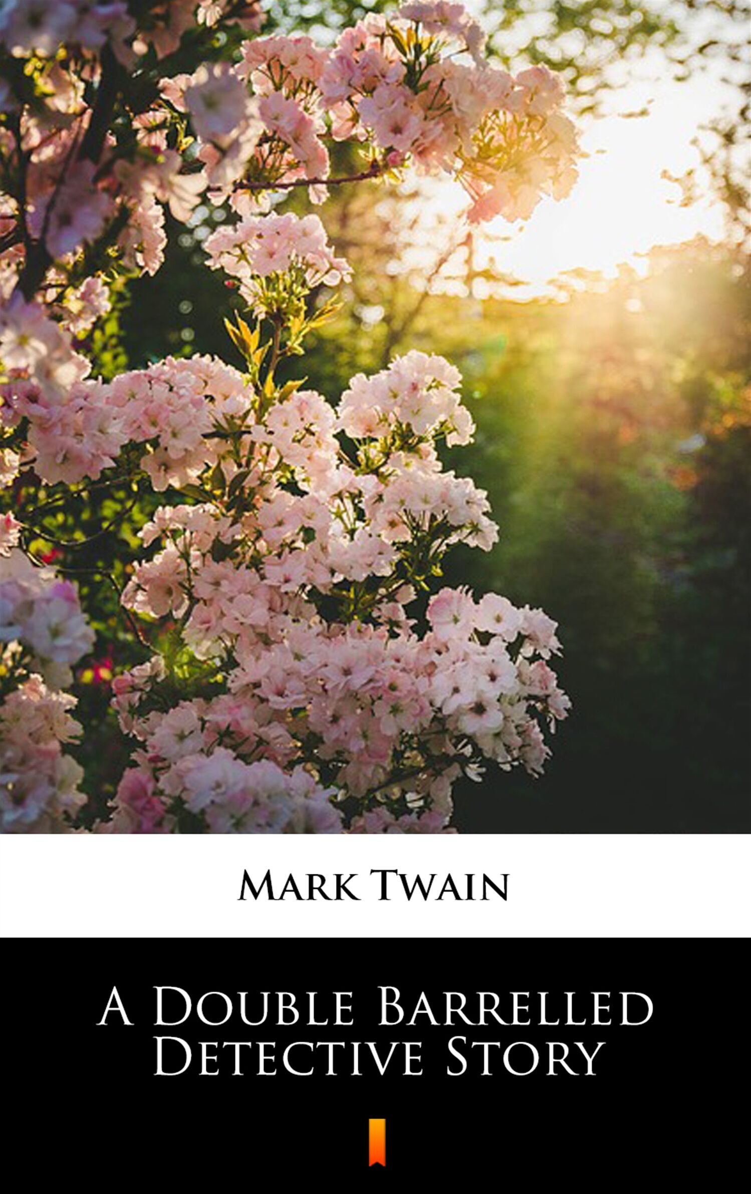 A Double Barrelled Detective Story (e-book)