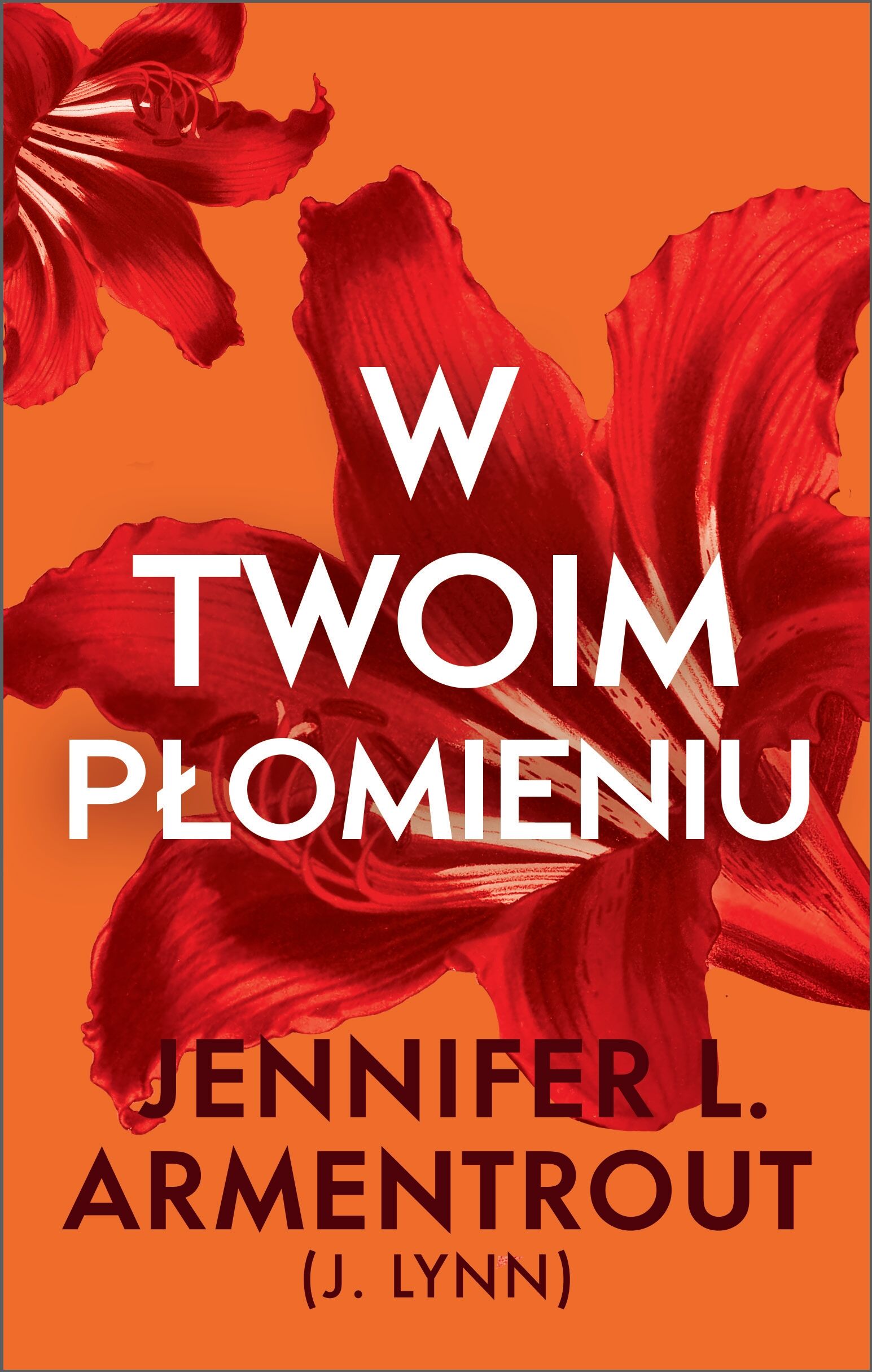 W twoim płomieniu (e-book)
