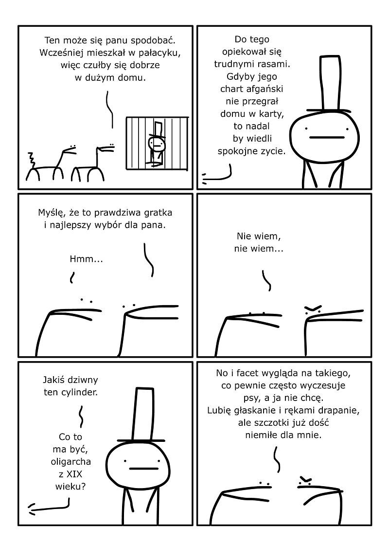 Jeden Pies