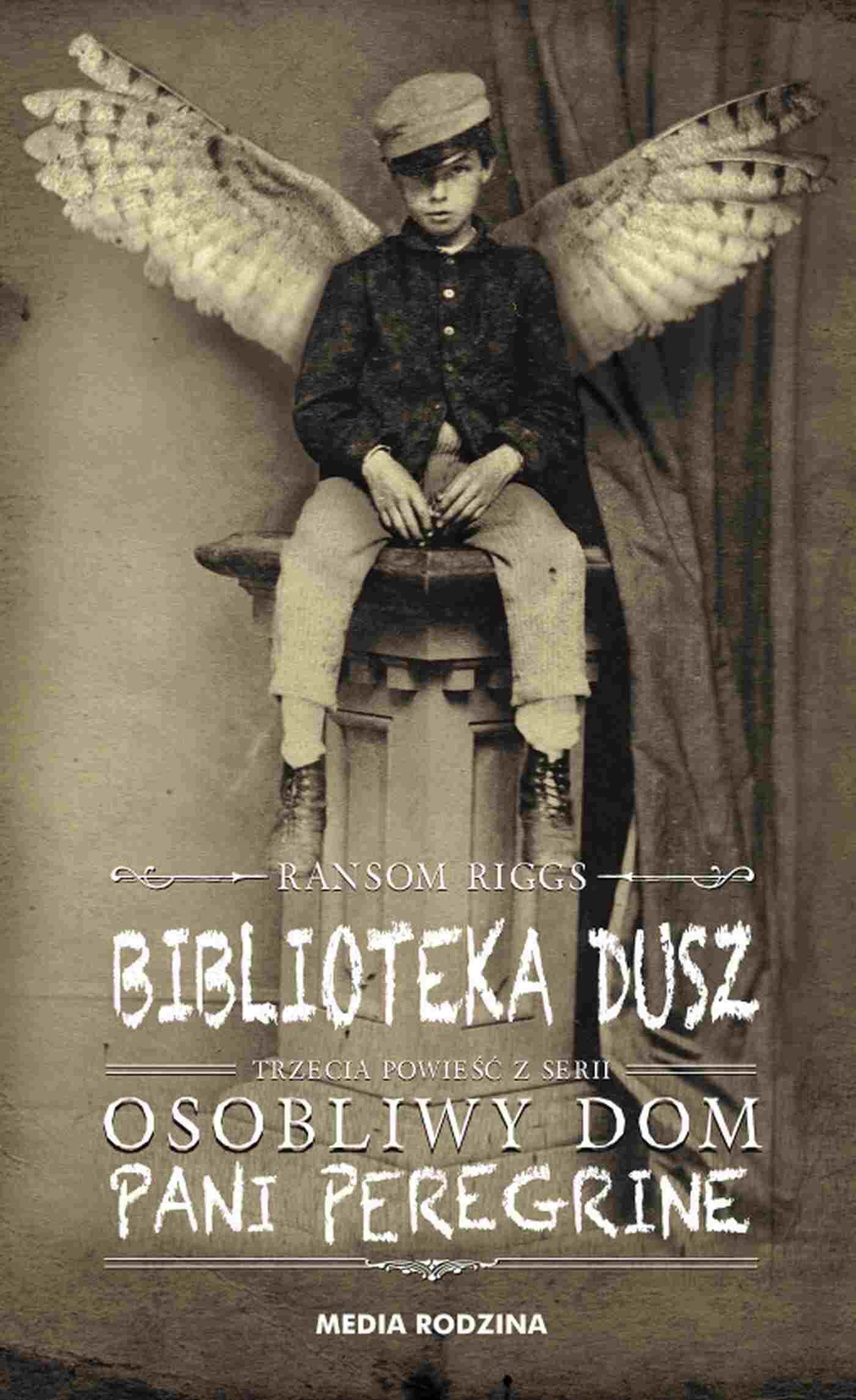 Biblioteka dusz (e-book)