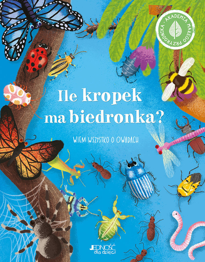 Ile kropek ma biedronka?