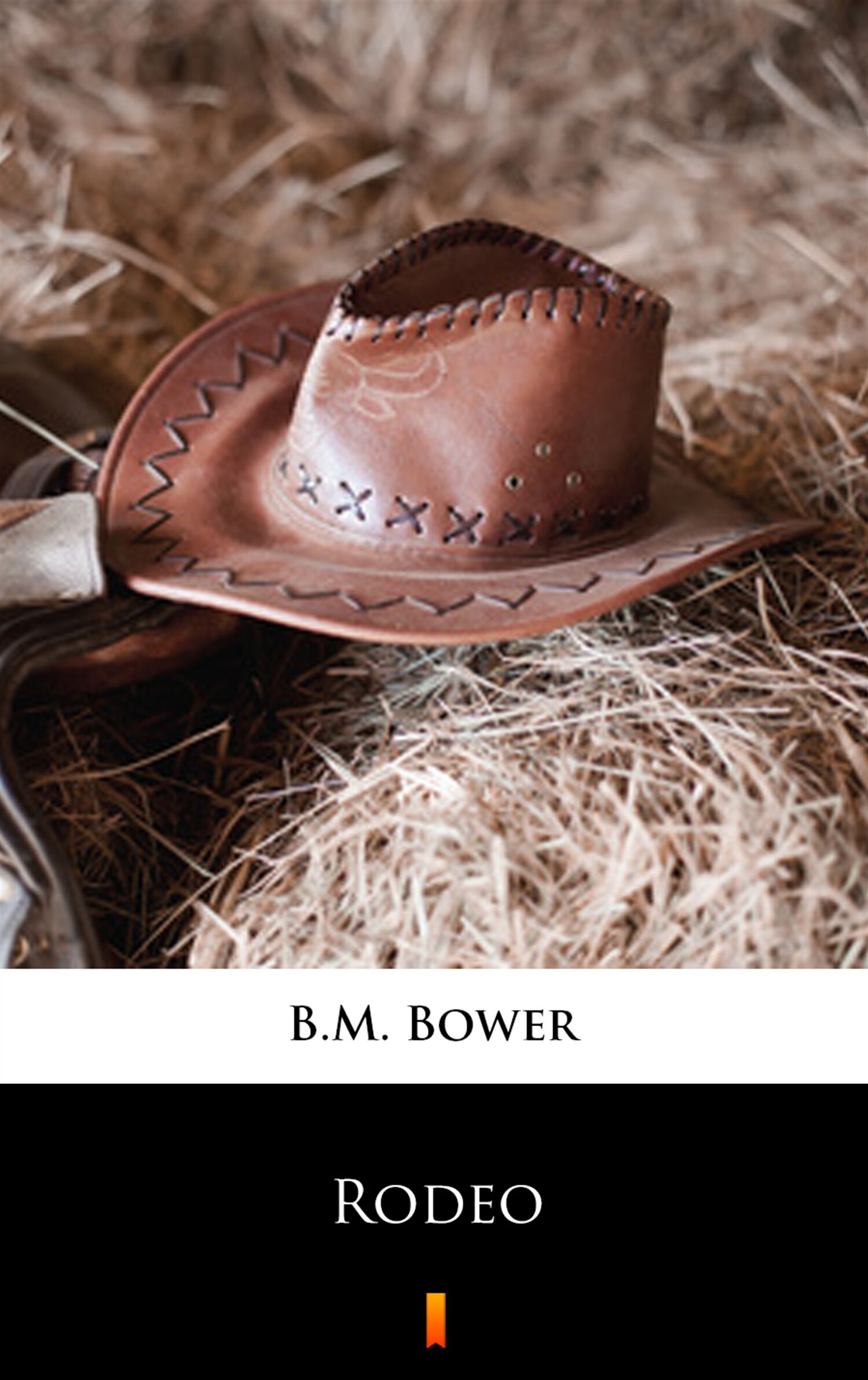 Rodeo (e-book)