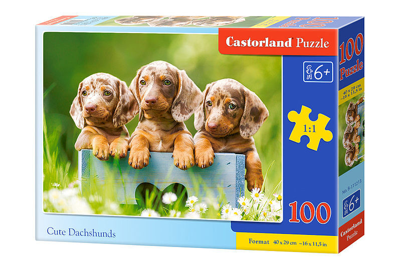 Puzzle 100 urocze jamniki b-111213