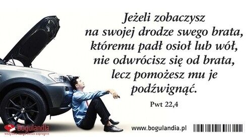 Magnes 28 na lodówkę Jeżeli zobaczysz na swojej drodze